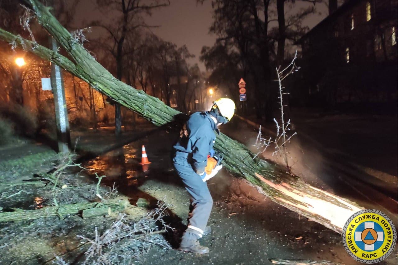 Десятки повалених дерев. З'явилися фото наслідків крижаного дощу в Києві